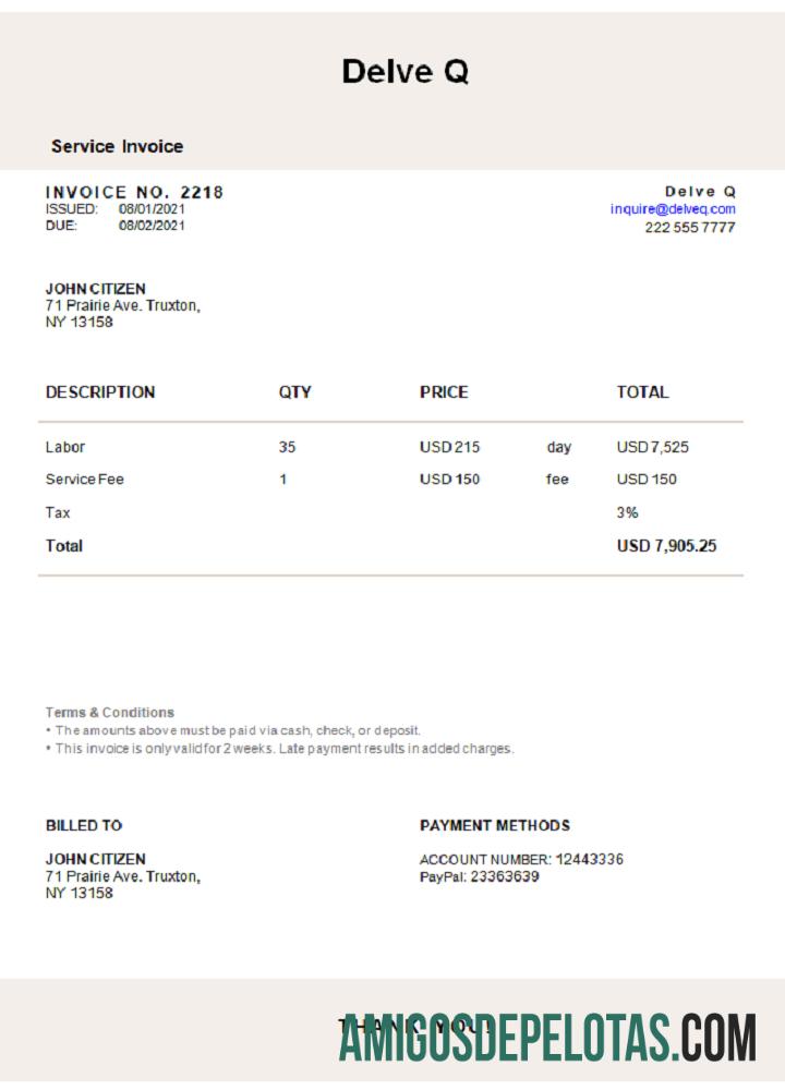 Fatura Delve Q dos EUA exemplo real